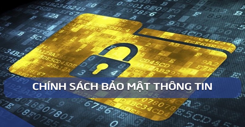 Nội dung chi tiết trong chính sách bảo mật tại S666